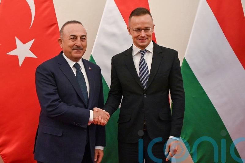 Sweden should ‘act differently’ to join Nato, says Hungary’s foreign minister