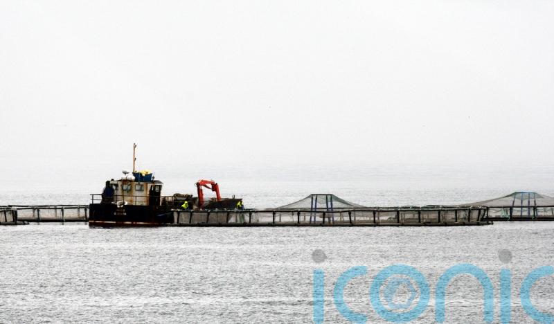 Firm to appeal against decision to block national park salmon farm