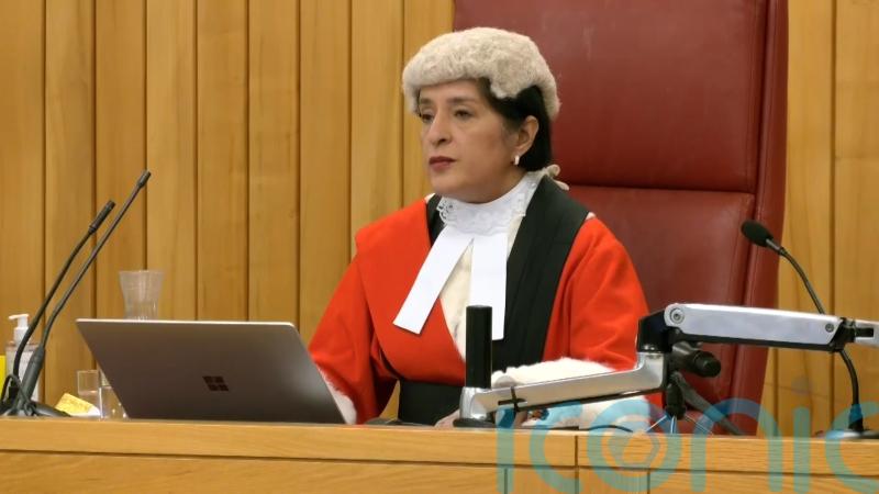 Judge blasts &lsquo;malign influence&rsquo; of men like jailed rapist Met Pc David Carrick