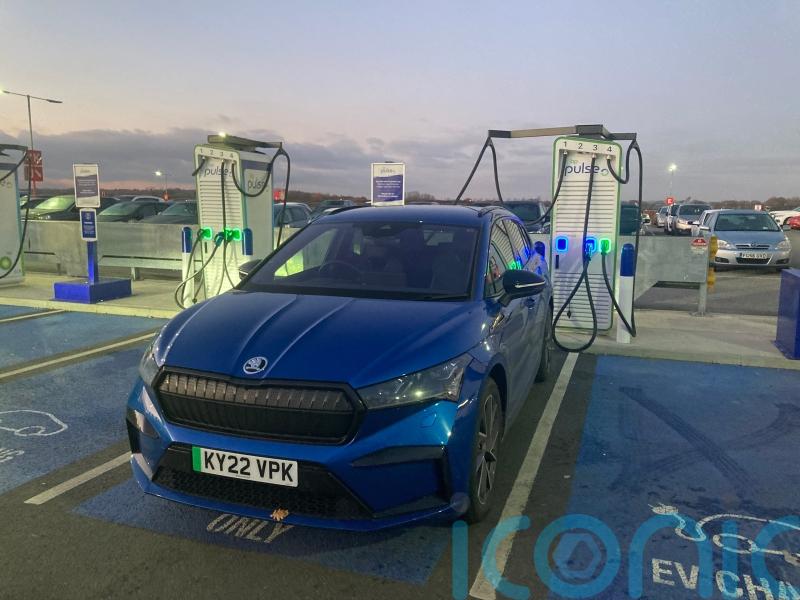 Long-term report: It’s a dog’s life in the Skoda Enyaq