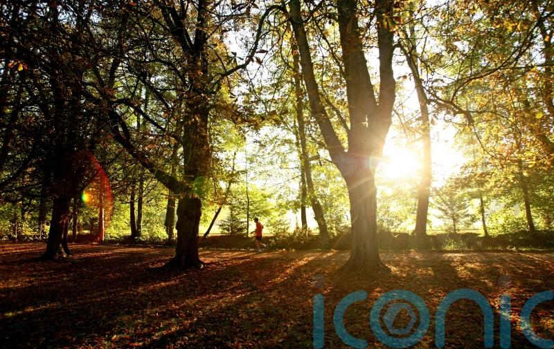 Morning exercise may be the best way of burning fat, study suggests