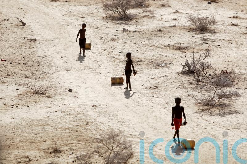 President urges Kenyans to pray for rain to ease extreme drought