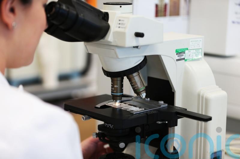 Male contraceptive shows promise in mice, study suggests