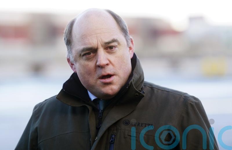 Ukraine war has exposed Europe’s vulnerability, says Wallace