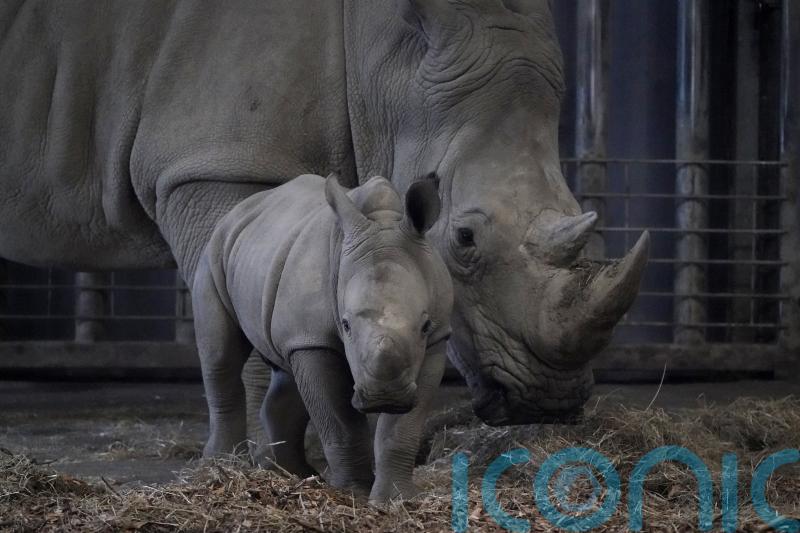 Phase out keeping large animals in zoos, say survey respondents