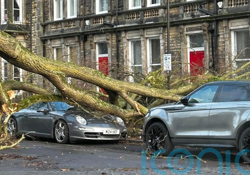 Homes face 48 hours without power after Storm Otto hits UK