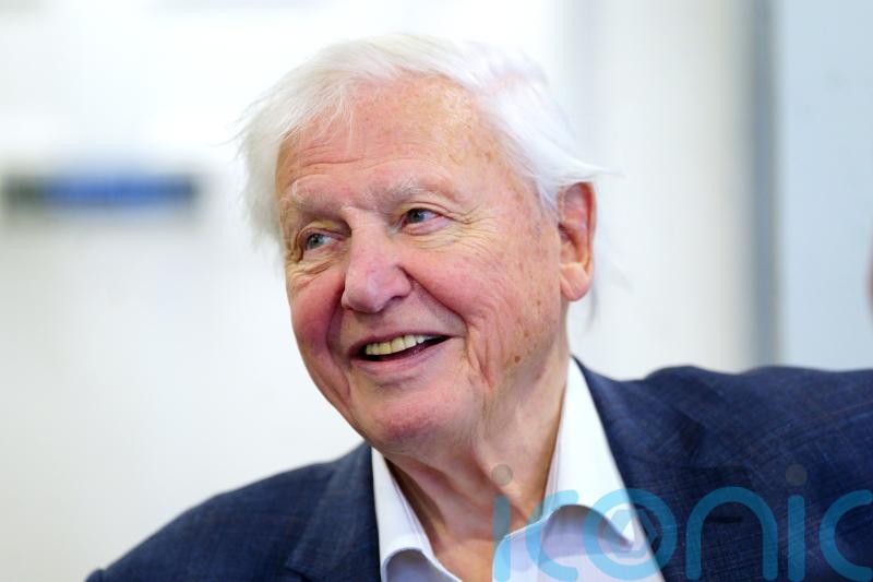 David Attenborough says he regrets not focusing on British wildlife programmes