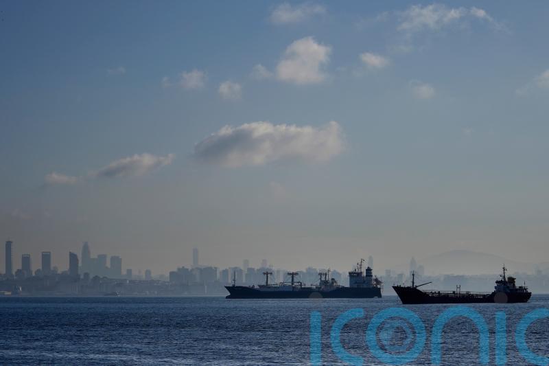 Grain shipments from Ukraine drop as Russia blamed for slowing inspections