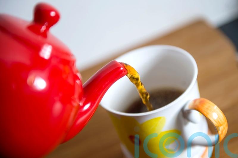 BBC investigation reveals sexual abuse on British-owned tea farms in Kenya