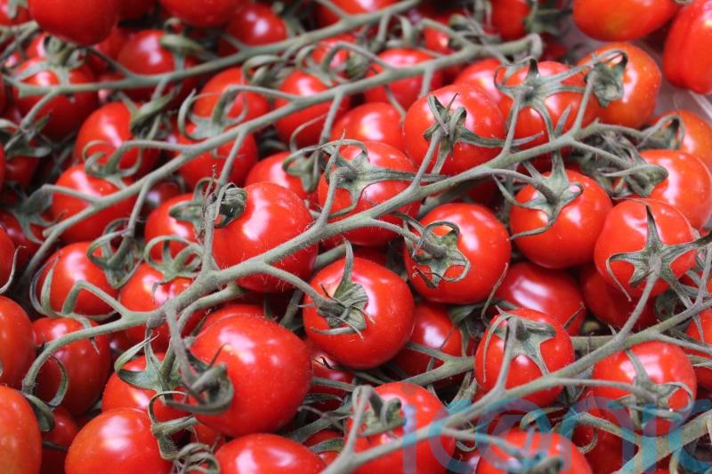 UK supermarkets facing tomato shortage