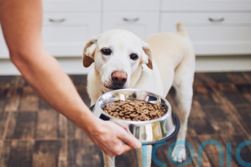 Environment Secretary calls on pet food makers to help customers as costs rise