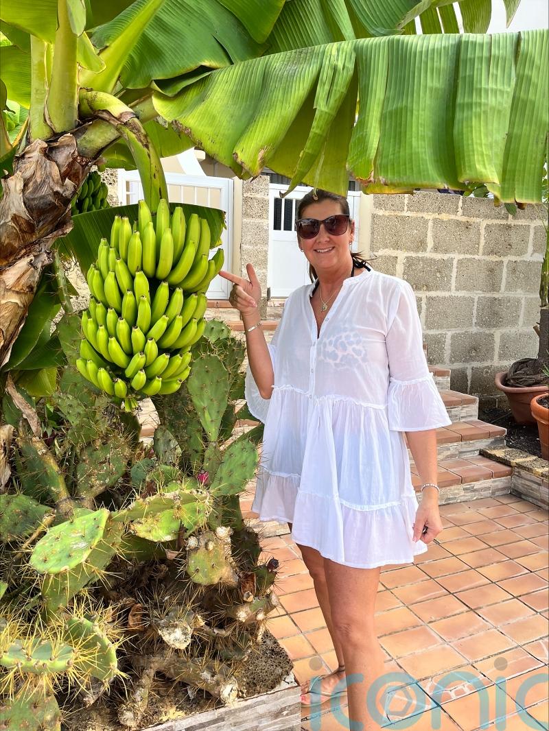 Family of mother who died after Tenerife hit-and-run launch inquiry bid