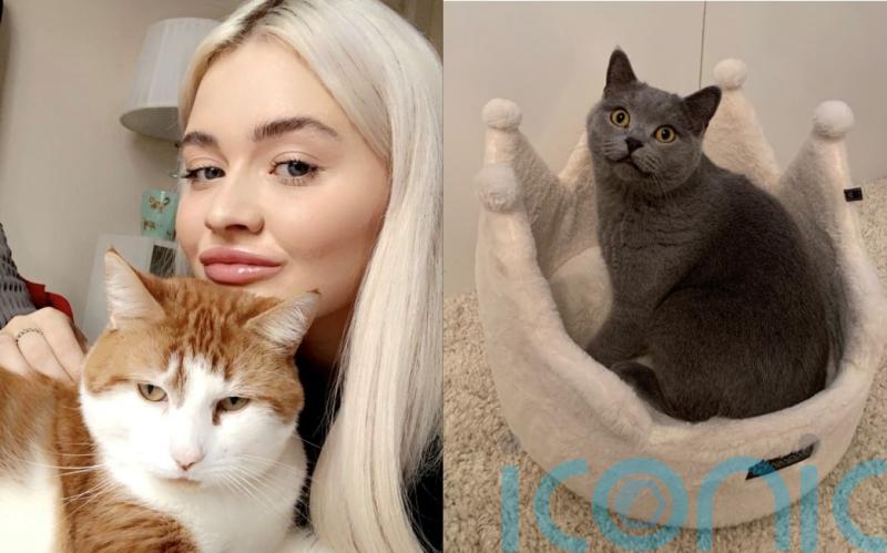 My cats own me! Pet lover treats felines like her kids with their own room, full-sized bed and £100 of treats per month