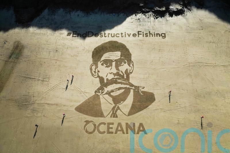 Fishing boats trawled protected areas for more than 7,000 hours, analysis shows