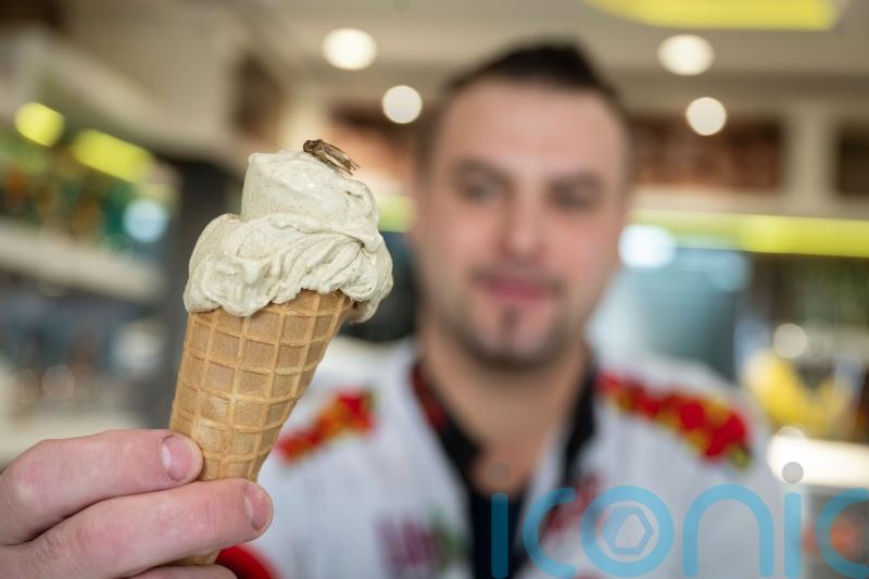 German ice cream parlour sells cricket-flavoured ice cream with insects on top