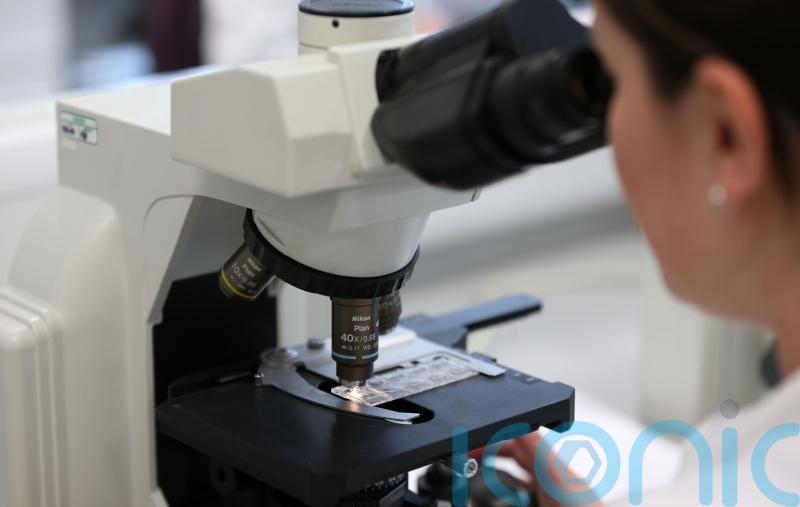 Scientists &lsquo;identify genetic variants linked to human fertility&rsquo;