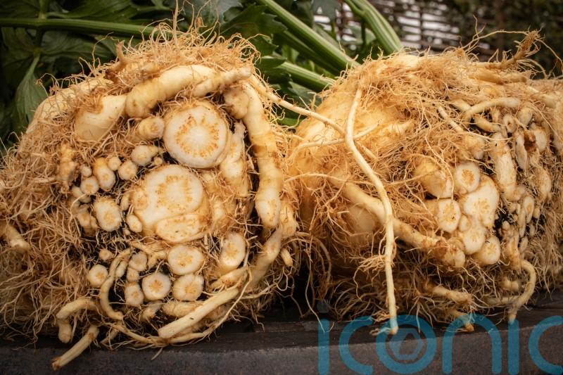 Huge surge in demand for plant-based dishes gives ugly vegetable a boost