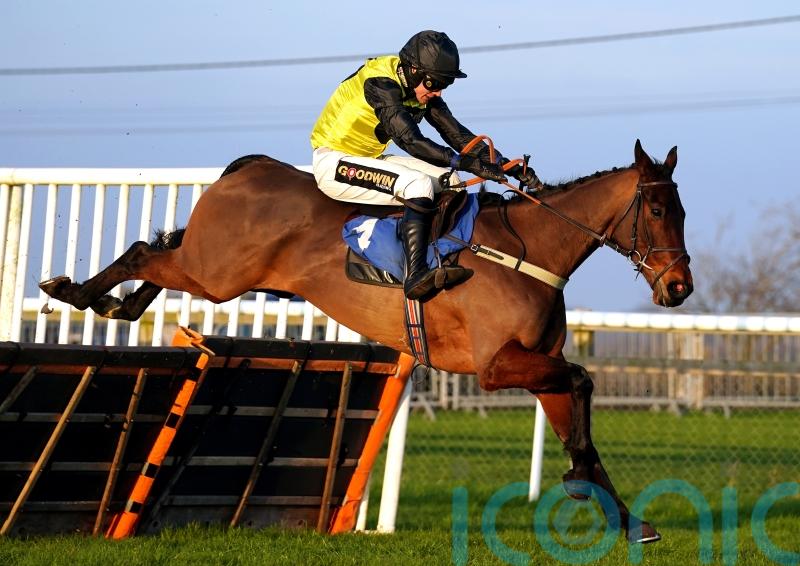 Aucunrisque back on track for Cheltenham – and return to fences