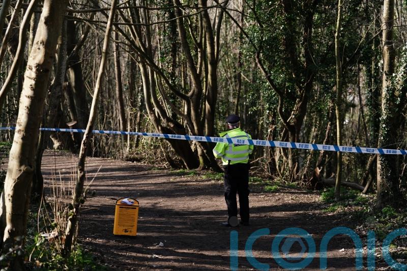 Constance Marten and Mark Gordon remanded on manslaughter charge