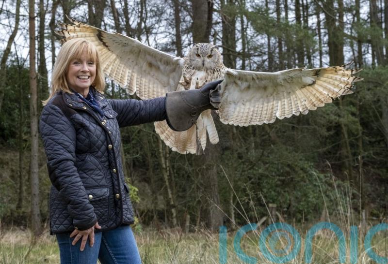 Cancer survivor urges people not to delay getting symptoms checked