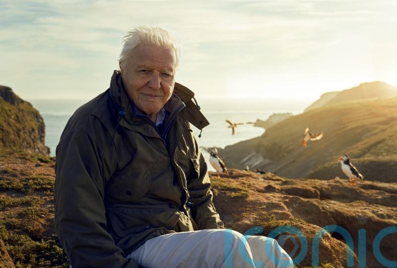Sir David Attenborough series centred around British Isles to launch on BBC