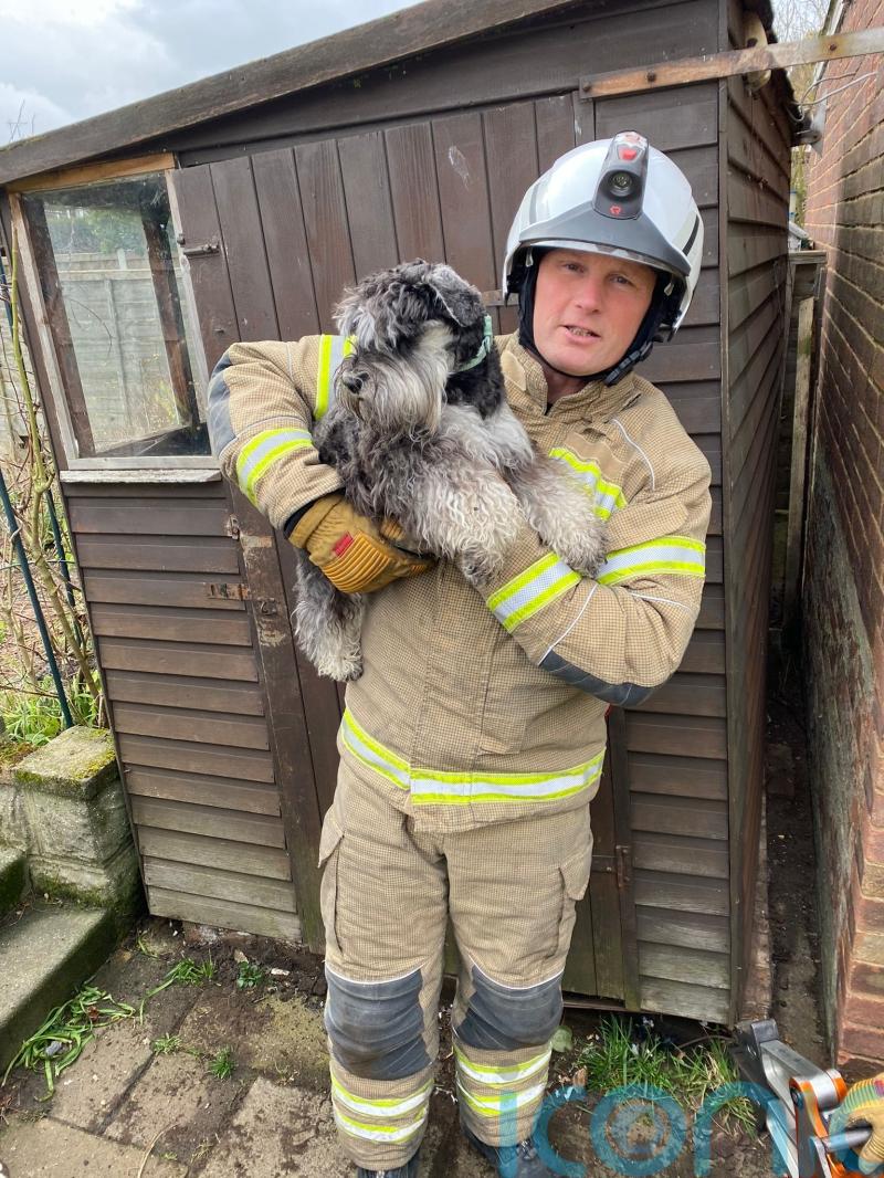 Firefighters lift shed to rescue trapped puppy