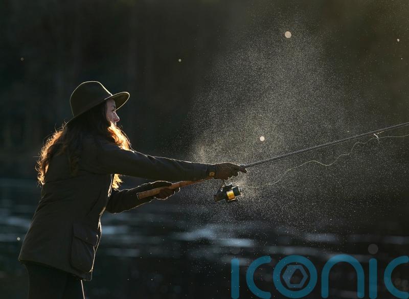 ‘Concerning’ levels of forever chemicals found in UK fish
