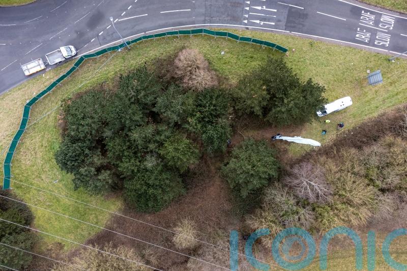 Police probe caravan park noise complaint related to crash that killed three