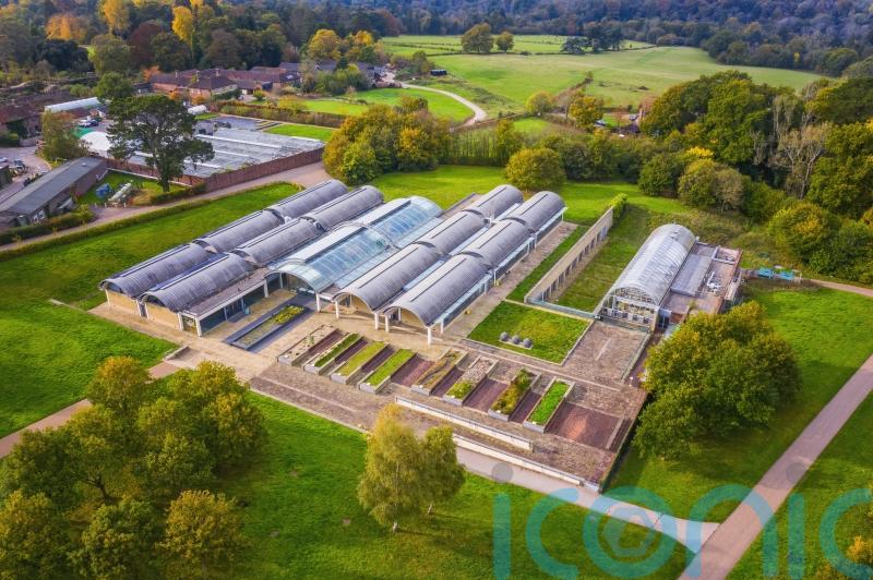 More than 40,000 plant species now stored in Kew Gardens’ seed bank
