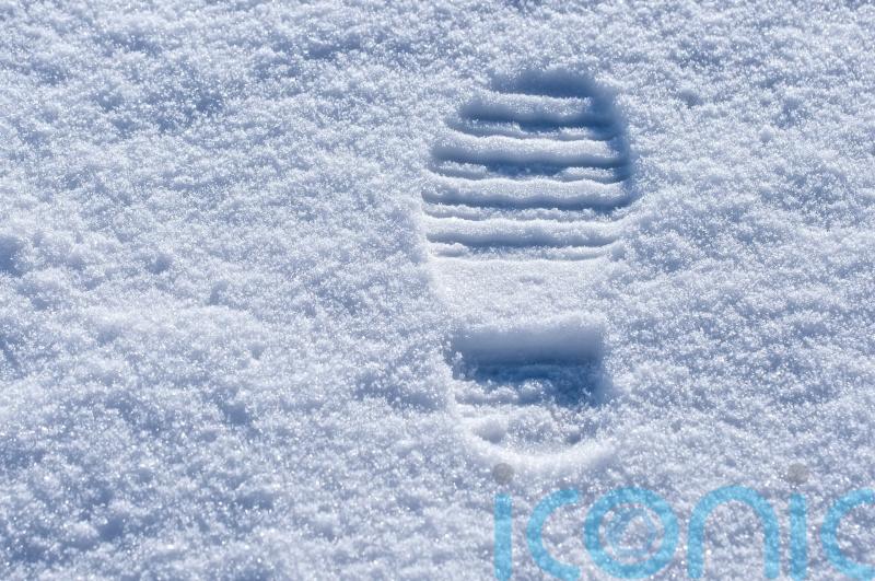 Police catch suspected thief by following tracks in the snow