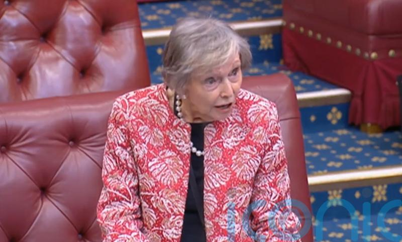 ‘World of woke’ must not prevent children enjoying ‘age of innocence’, says peer