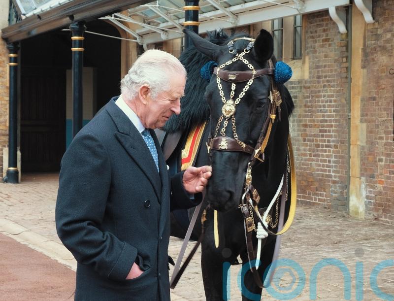 Royal Canadian Mounted Police give horse to King