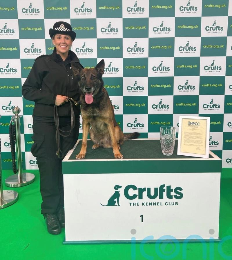 Handler who broke foot and police dog receive Crufts award as team of the year