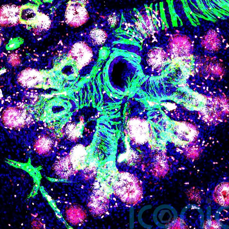 Scientists identify more than 500 genes linked to lung function
