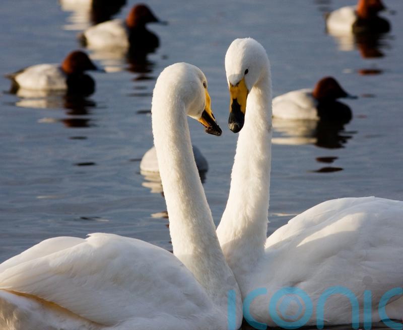 Kilkenny nature reserve receives substantial funding 