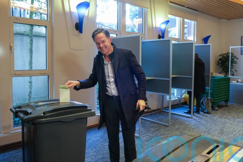 Dutch go to polls in mid-term provincial elections