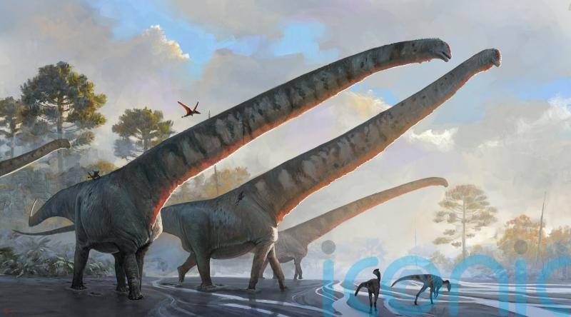 Scientists identify dinosaur with the longest neck ever seen in an animal