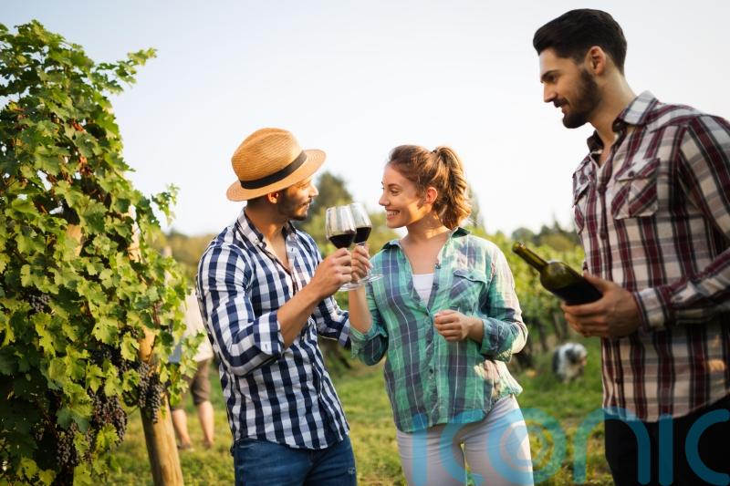 6 cabernet sauvignons to swoon over