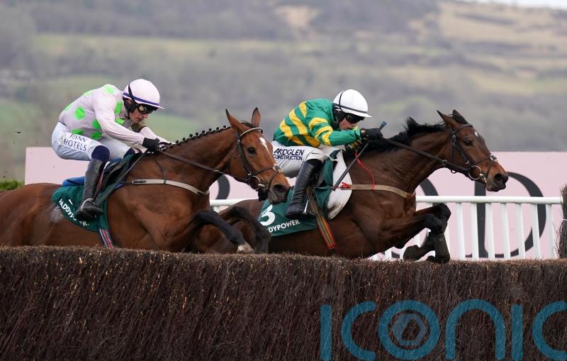 RACING: Cheltenham victor's recovery key to Punchestown outing, says south-east handler