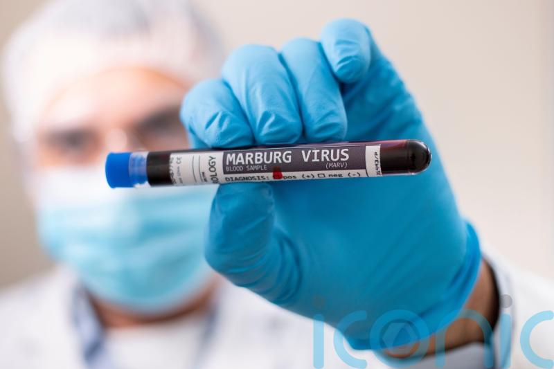 Equatorial Guinea confirms eight new cases of Marburg virus