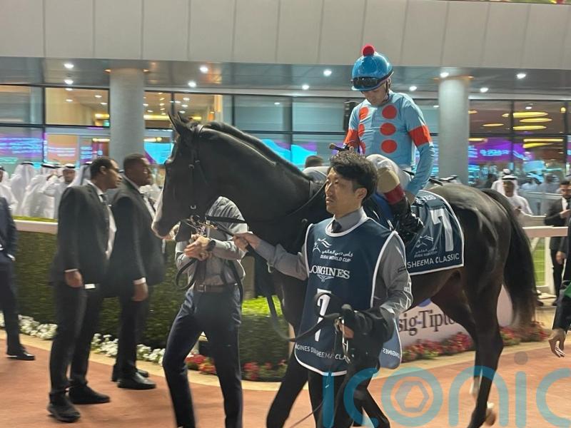 Meydan magic from Equinox in Sheema Classic