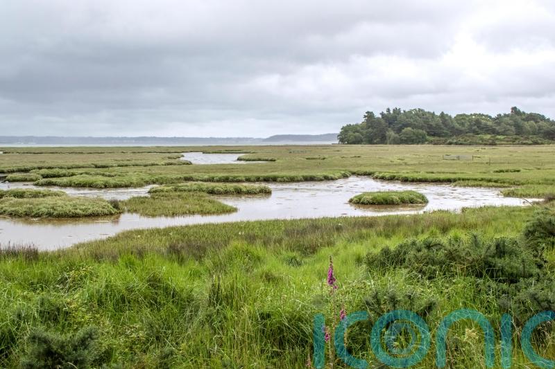 Poole Harbour oil spill may have ‘devastating’ impact on local nature reserves