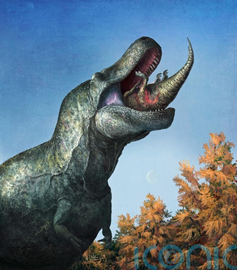 T rex’s ‘ferocious’ fangs were hidden by lizard-like lips, say scientists