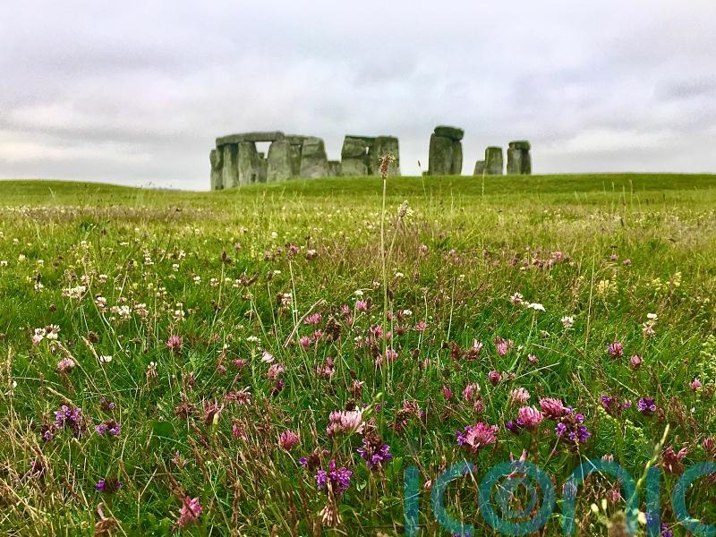 Meadows to be established at historic English sites to mark King’s coronation