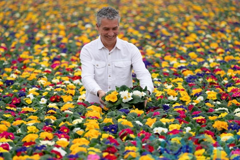 Tesco to go peat-free on all UK bedding plants to help environment
