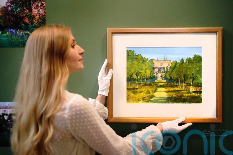 William and Harry’s treehouse features in Highgrove exhibition staged for King