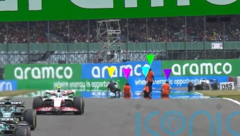 Just Stop Oil protesters spared jail over ‘reckless’ Silverstone track invasion