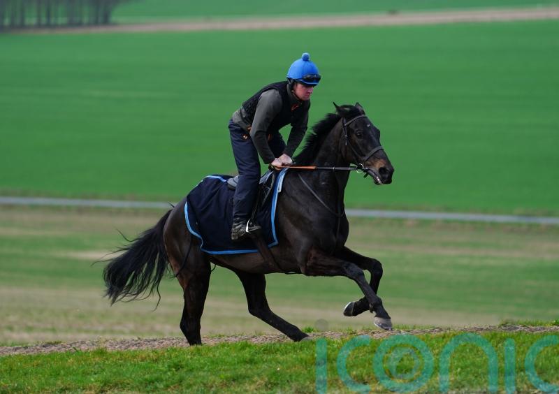 Coffey on course for National service