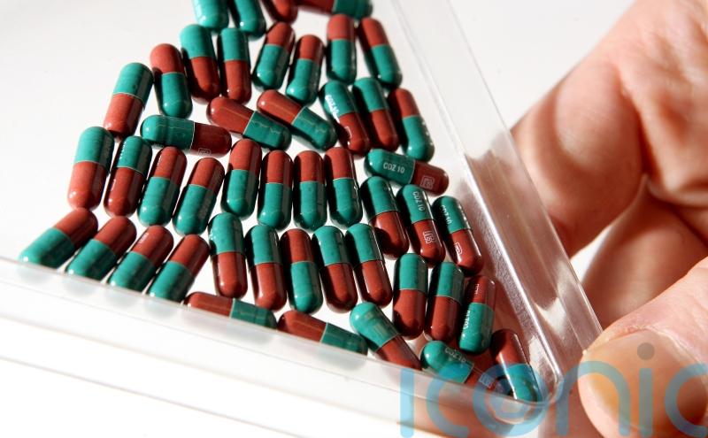 Antibiotics and resistance ‘two-way street’ between animals and humans – study
