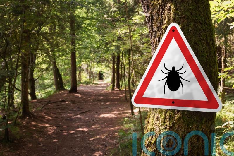 Deadly tick-borne virus ‘likely’ to be in UK after first case detected